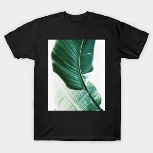 Banana leaves,Tropical leaves, Green leaves, Leaf, Modern art, Wall art, Print, Minimalistic, Modern, Scandinavian print T-Shirt